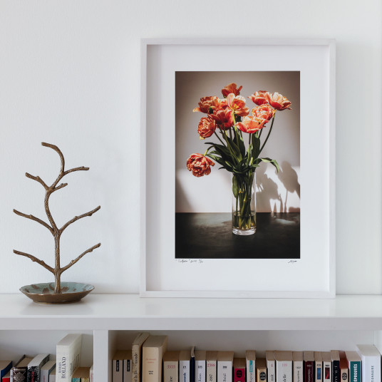Tulpen