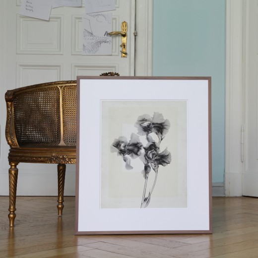 Thomas Ruff, Flower.s_10