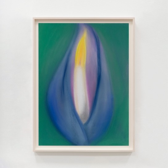 Sara Bonache, Light Tulip